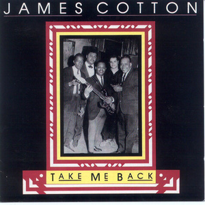 麻豆天美果冻星空国产
