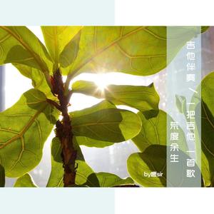 麻豆天美果冻星空国产
